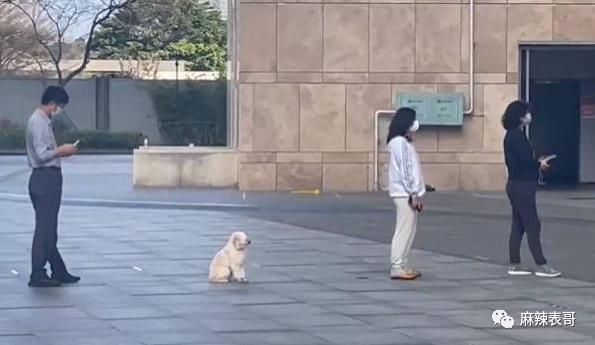 这都能夸起来啊？