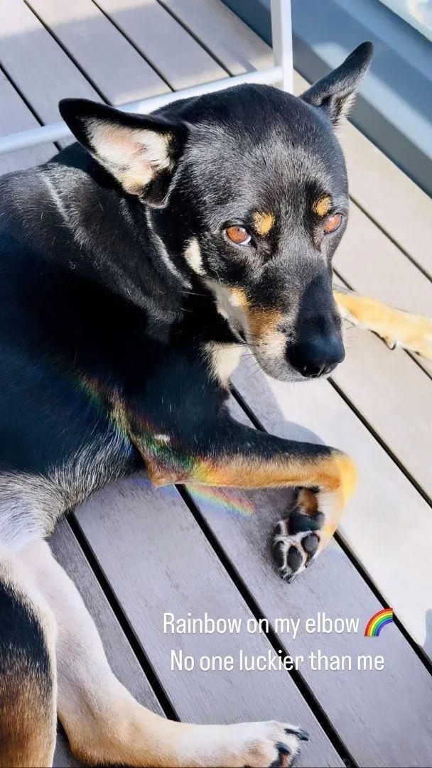 与大14岁男友结婚且双喜临门？黄心颖晒照吐心声