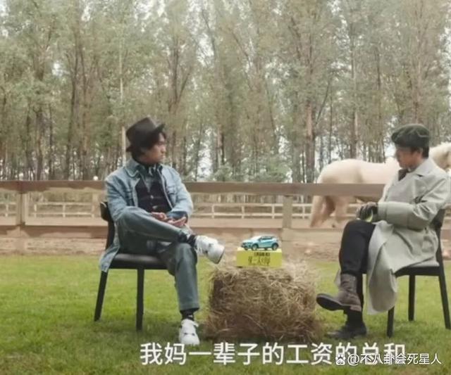 郑恺日薪400万，王楚然代言300万，明星天价片酬该停了