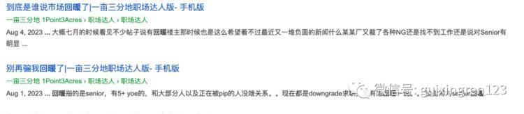 集体上岸、大厂回春：被裁的人，熬过了湾区的寒冬