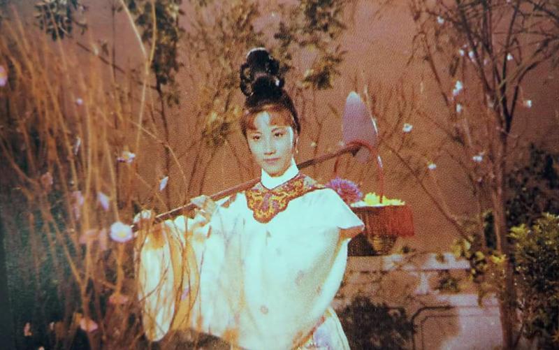 新林黛玉惹争议，几人能撑起气质？有人能锄两亩地，有人从书中走出