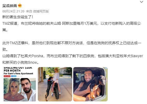 布兰妮三度离婚原因曝光，小12岁山姆错失1亿“大奖”