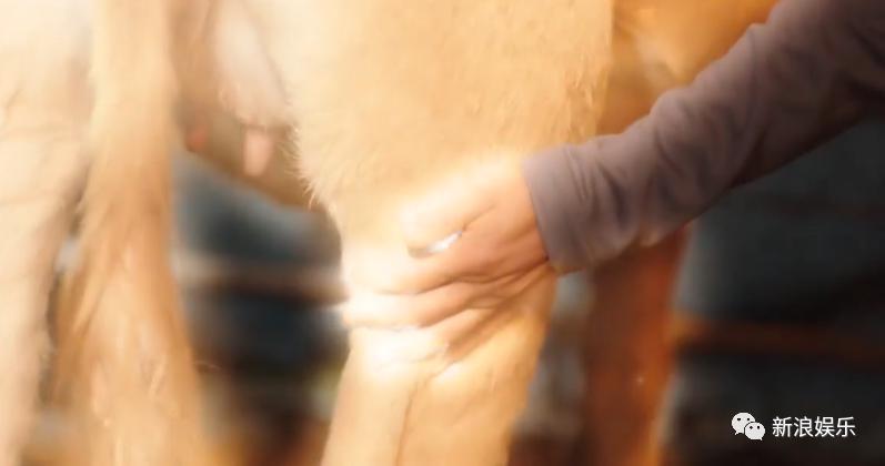 人傻钱多？这话夸早了吧