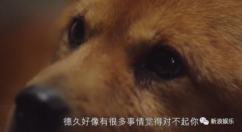 人傻钱多？这话夸早了吧