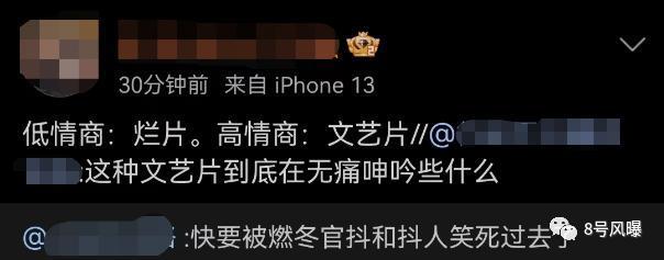 谜一样的口碑，文艺片还是烂片？