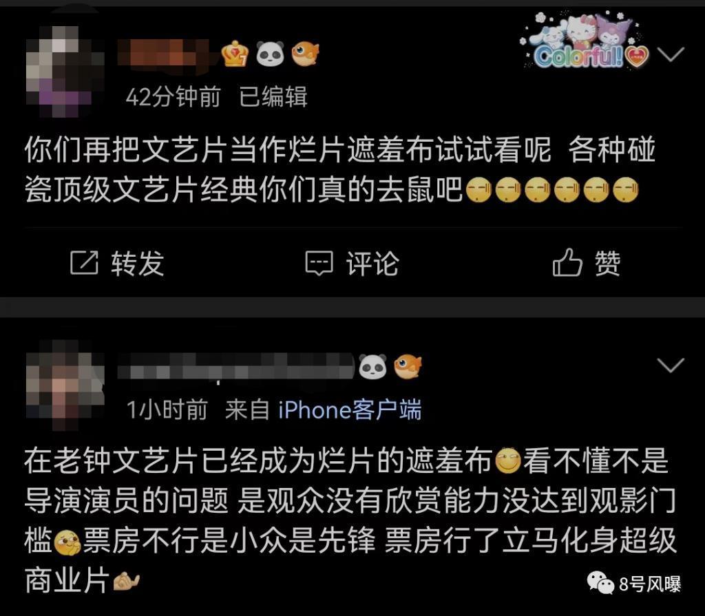 谜一样的口碑，文艺片还是烂片？