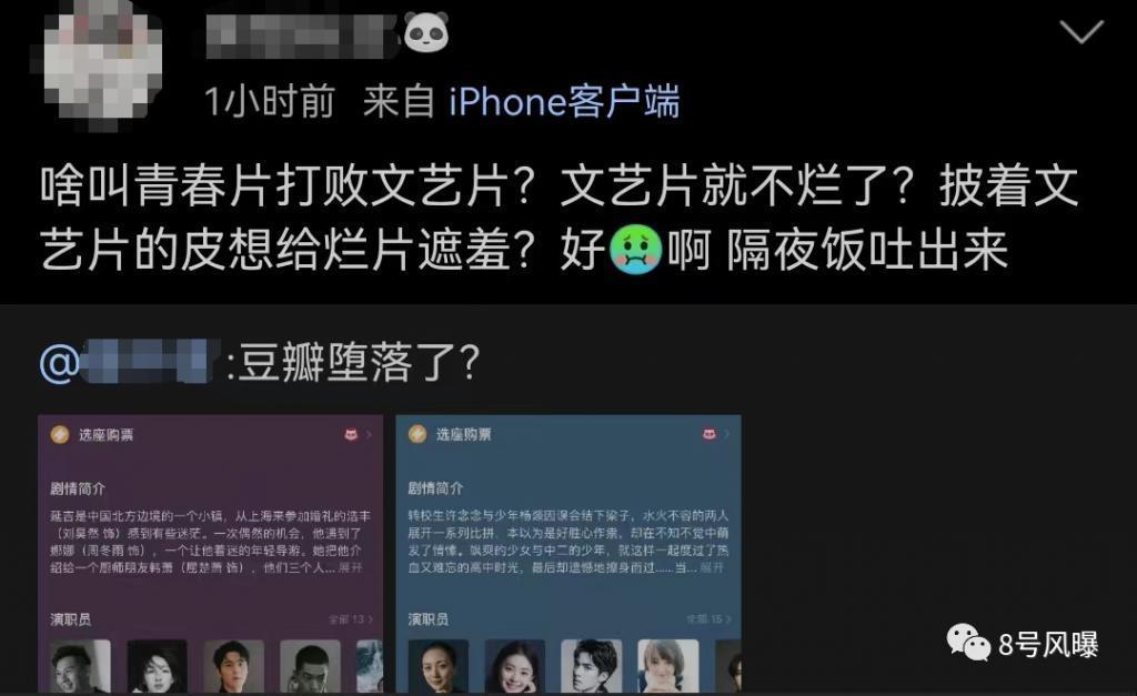 谜一样的口碑，文艺片还是烂片？