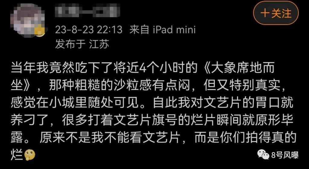谜一样的口碑，文艺片还是烂片？
