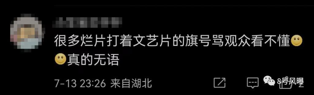 谜一样的口碑，文艺片还是烂片？