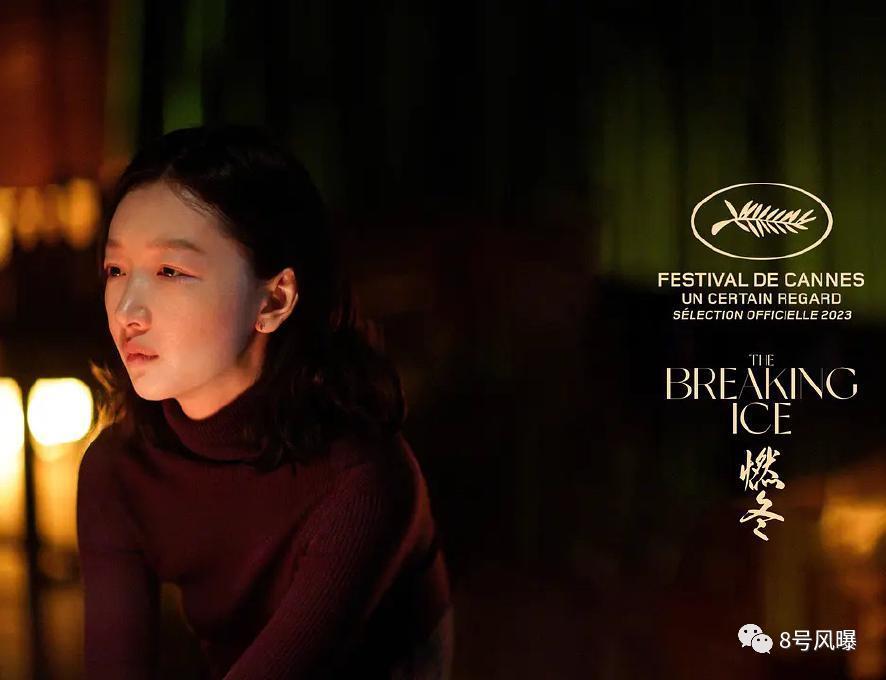 谜一样的口碑，文艺片还是烂片？