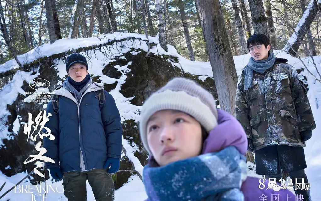 谜一样的口碑，文艺片还是烂片？