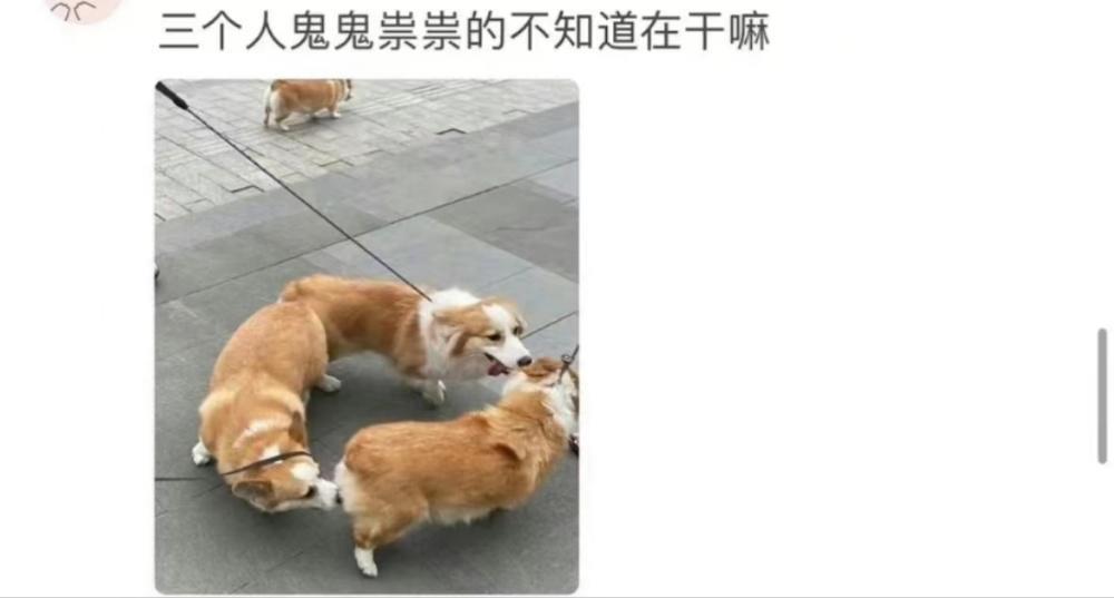 周冬雨真的不配性感吗？