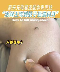 越来越贵的驱蚊产品，又是中产智商税？