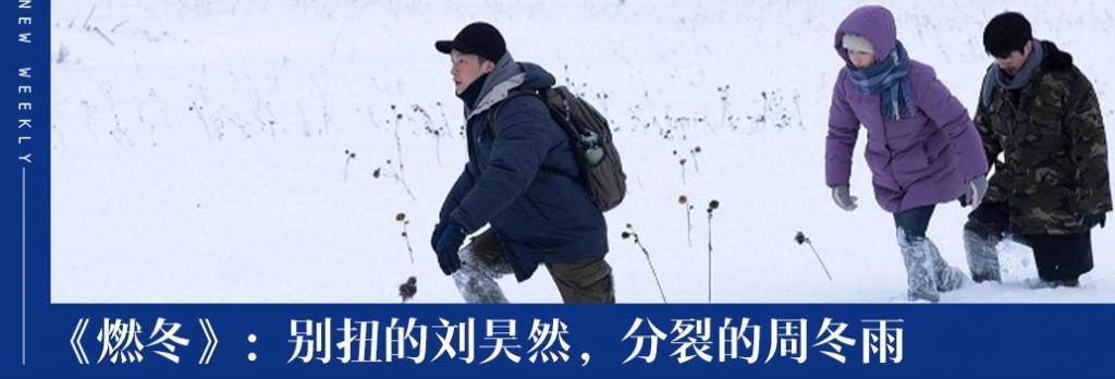 越来越贵的驱蚊产品，又是中产智商税？