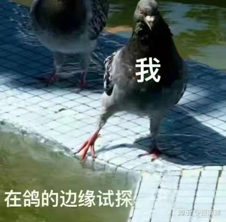 除了 iPhone 15 ,苹果这次还有个 One More Thing .
