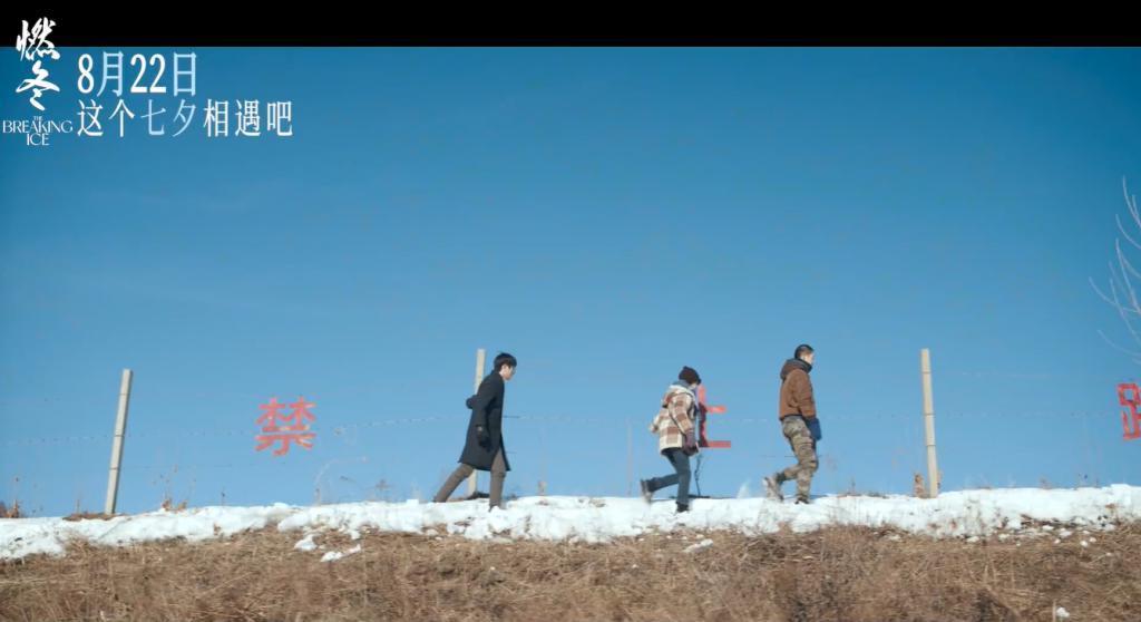 这顶流三角恋，被全网骂惨了