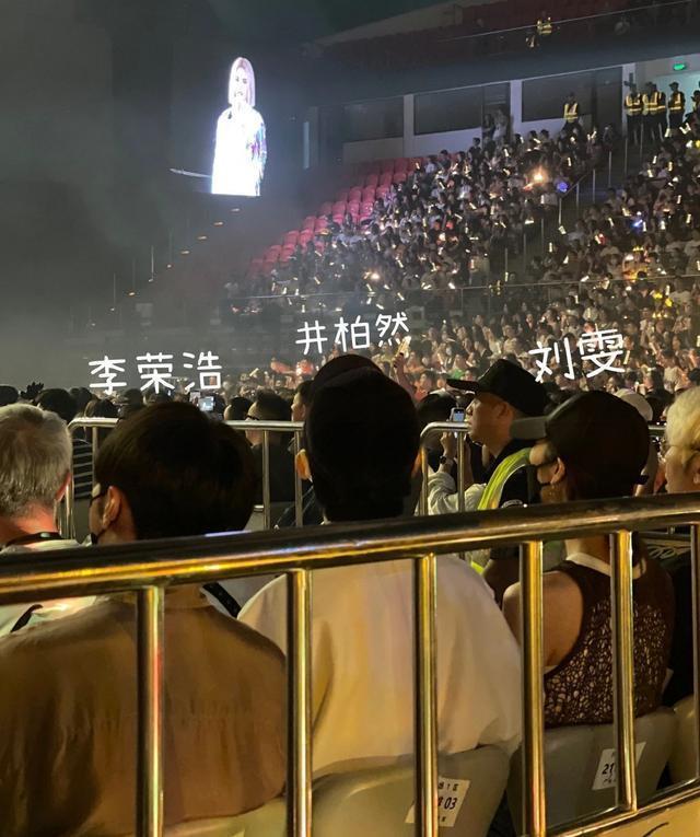 李荣浩台下看杨丞琳演唱会 刘雯井柏然也现身形影不离