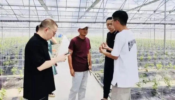马云的退休生活