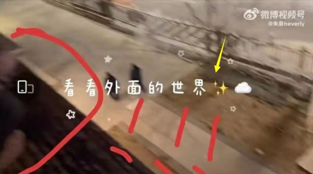 没拿冠军不配恋爱？