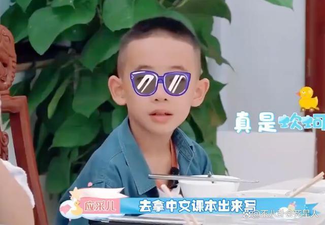 《爸哪》萌娃扎堆留学，吴尊却让孩子在中国上学