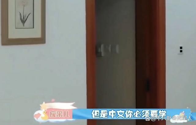 《爸哪》萌娃扎堆留学，吴尊却让孩子在中国上学