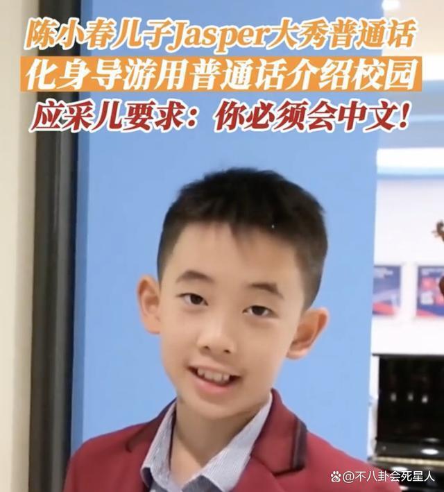 《爸哪》萌娃扎堆留学，吴尊却让孩子在中国上学