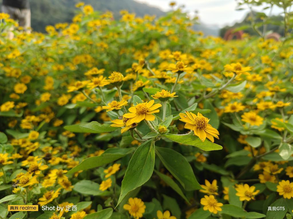 真我GT5首发评测：更“恐怖”的配置，更“温柔”的价格