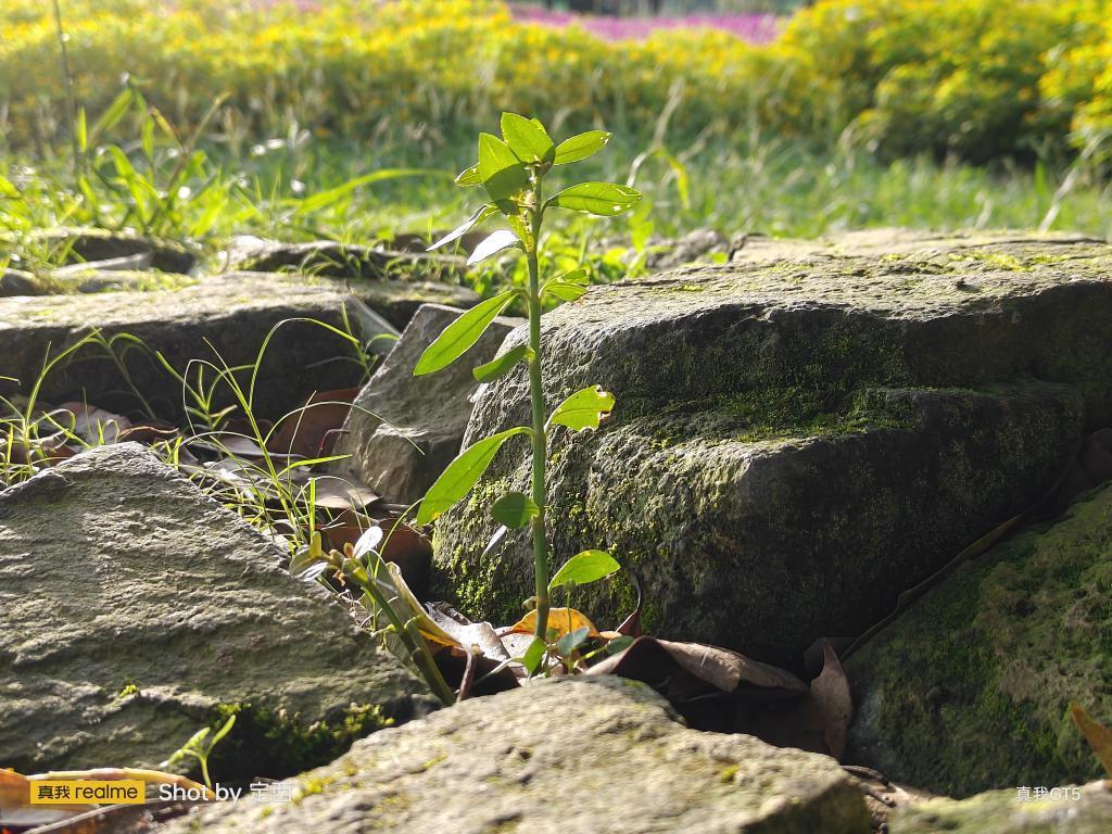 真我GT5首发评测：更“恐怖”的配置，更“温柔”的价格