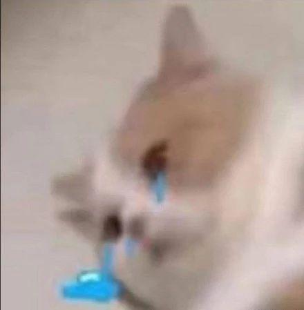 24GB 1TB 240W 3799元 ！这新机过分了