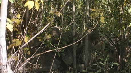 亚洲最性感的女星，这一脱太高级