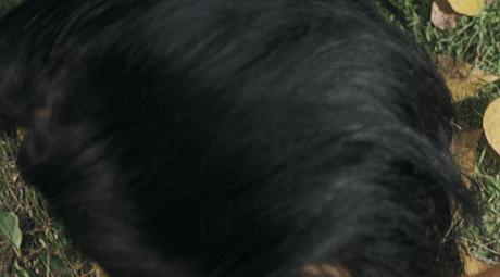 亚洲最性感的女星，这一脱太高级