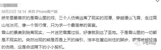 《燃冬》票房惨淡口碑成迷：是文艺片还是烂片？