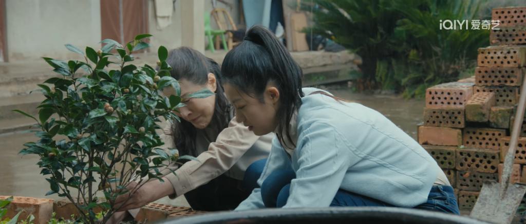 一口气刷完，舒服