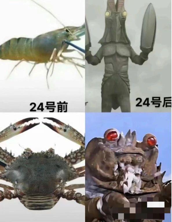 日本核污排海，哥斯拉会不会“重返地球”？