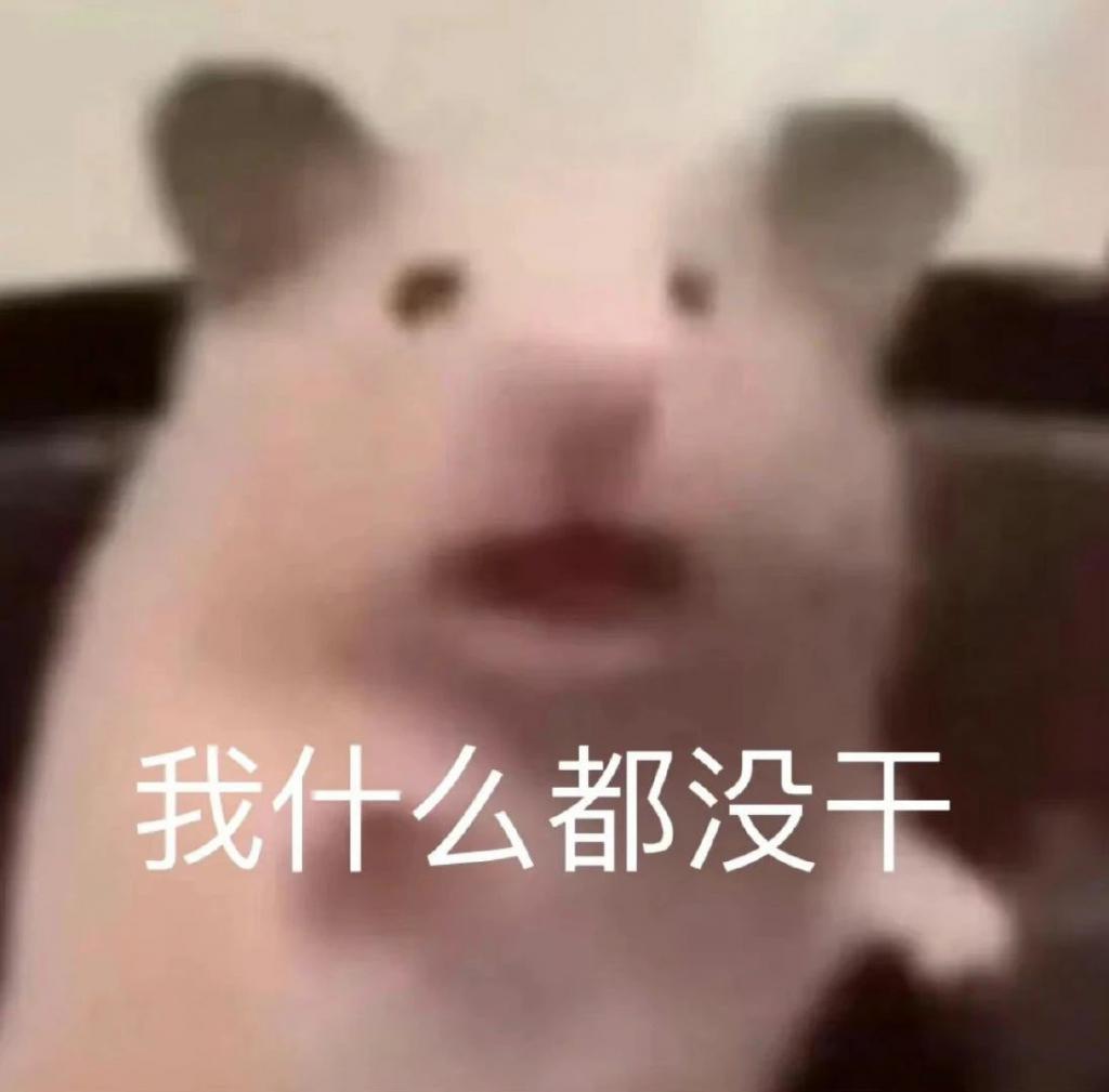 2023年港姐是现实版《美丽战场》吧