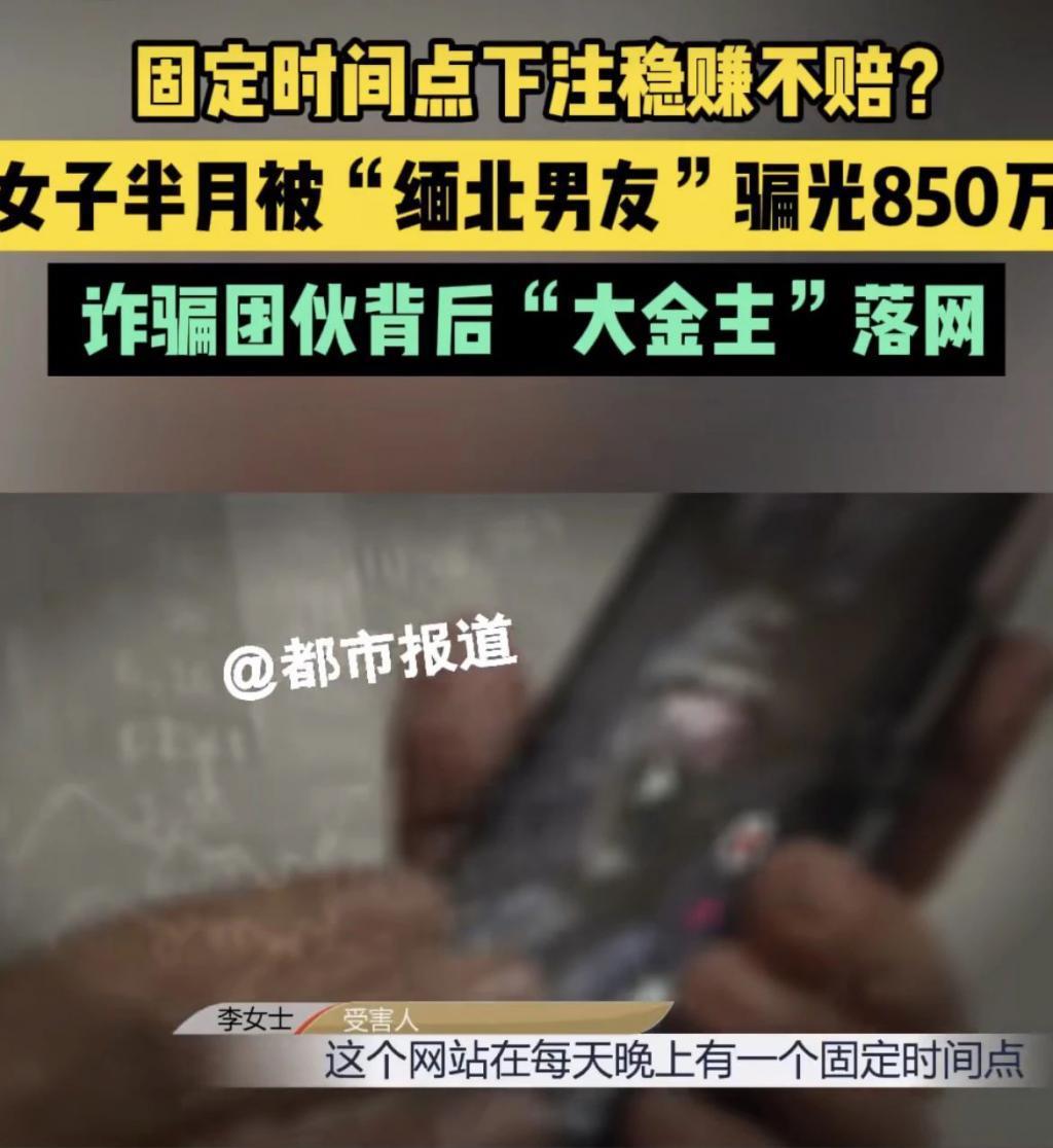 2023年港姐是现实版《美丽战场》吧