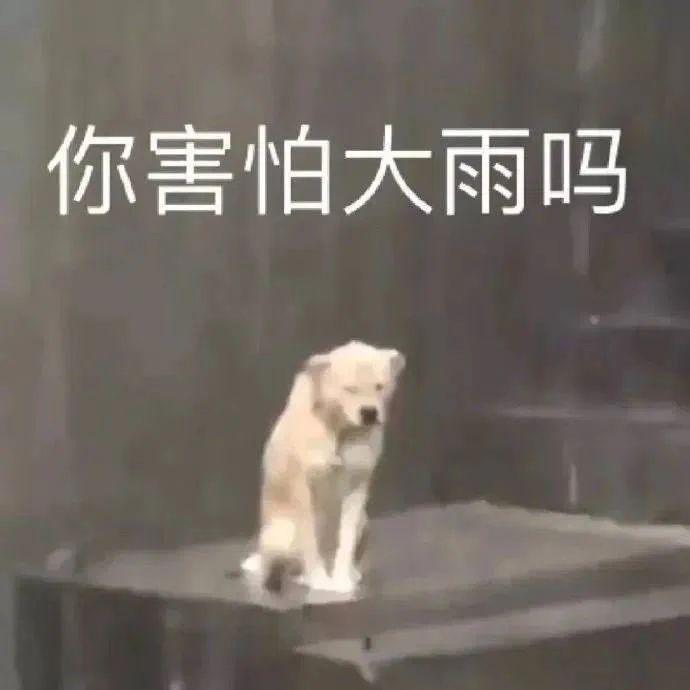 2023年港姐是现实版《美丽战场》吧
