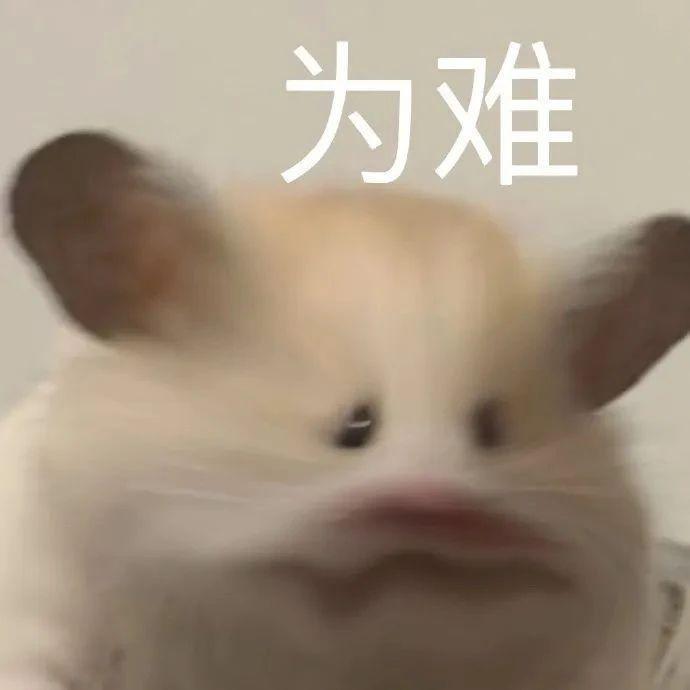 2023年港姐是现实版《美丽战场》吧