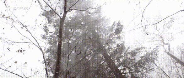 家庭轻喜破题年代剧，《父辈的荣耀》把我治愈了