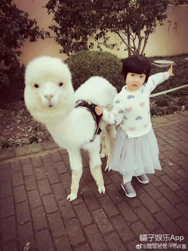 还记得那个被王嘉尔抱在怀里的小女孩吗？她现在变这样了？