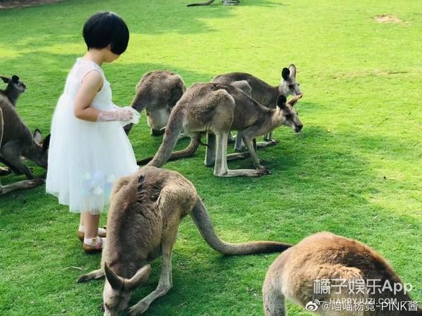 还记得那个被王嘉尔抱在怀里的小女孩吗？她现在变这样了？