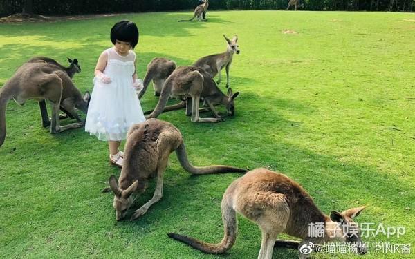 还记得那个被王嘉尔抱在怀里的小女孩吗？她现在变这样了？