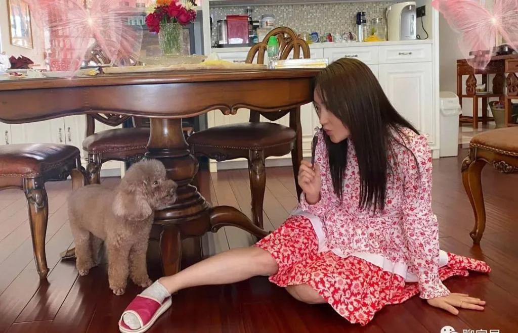 51岁杨钰莹到工地演出捞金？现场寒酸，“玉女掌门人”沦落成这样了？