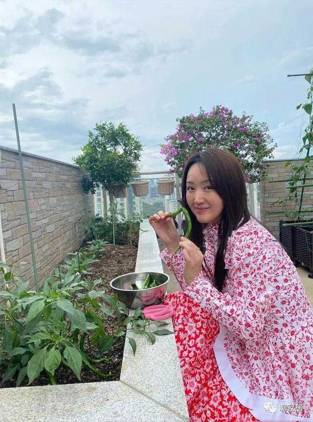 51岁杨钰莹到工地演出捞金？现场寒酸，“玉女掌门人”沦落成这样了？