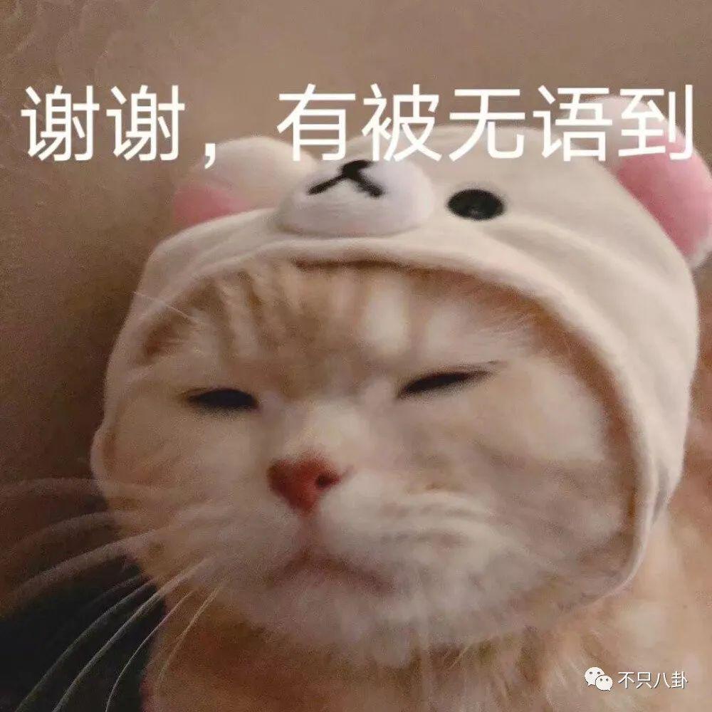 被多名女生怒斥骗感情？他之前吃软饭的黑料又被扒出来了！