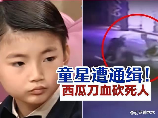 台湾第一童星被通缉！混黑道打人致死，被判17年逃逸至今