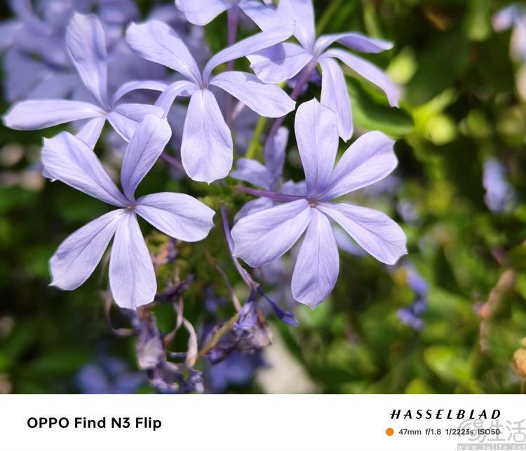 “小折叠”也有大影像，OPPO Find N3 Flip首发测评