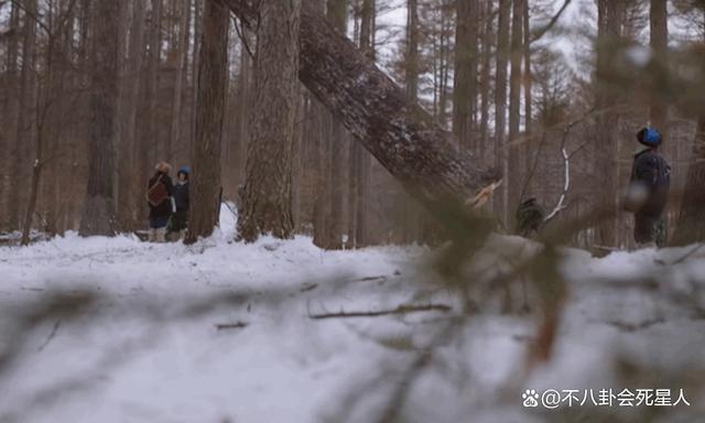 本以为是翻版《人世间》，收视率却很惨淡，刘琳也救不回来！
