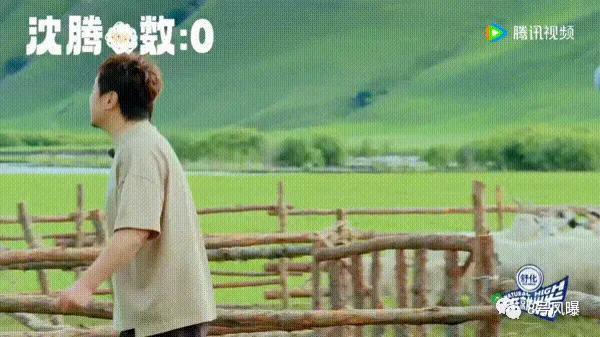 含“腾”量如此高，竟然看不下去