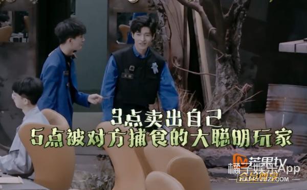 人均心眼子大师？这么勾心斗角，他们不会打起来吗？